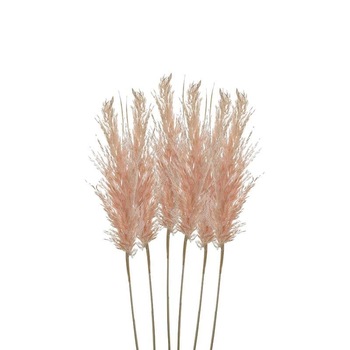 Set 6 ramuri pampas roz H70
